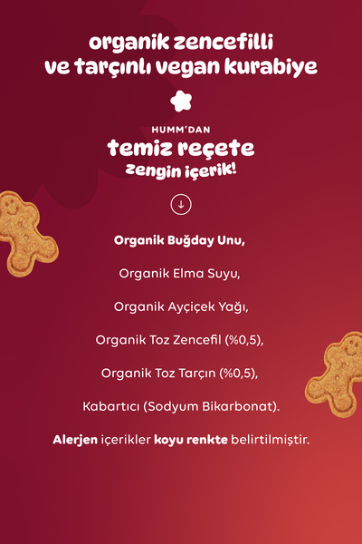 Humm Organic Organik Tarçınlı Zencefilli Kurabiye 6 X 55 gr