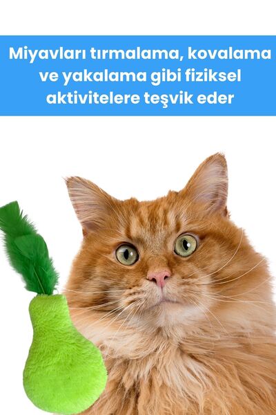 Miyav Plush Pear Cat Toy with Green Catnip - Cat Herb Toys