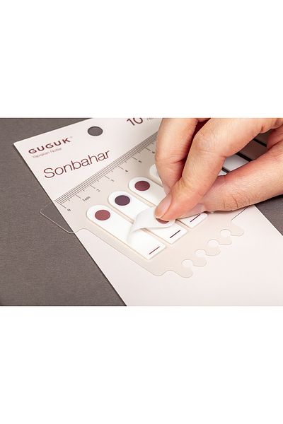 GUGUK Transparent Pet Index - Autumn Round, Post-It Sticker with 10 Colored Rulers