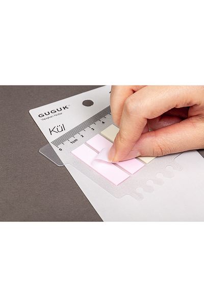 GUGUK Transparent Pet Index - Ash 10-color Ruled Post-it Sticker (Ggk-p025)