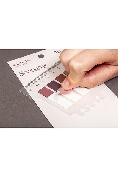 GUGUK Autumn 10 Half Colored Transparent Pet Index - Sticker and Post-It