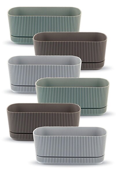 ToXA 6 Adet Pera Uzun Saksı No2 3 Litre Çok Renkli 29cm Plastik Kaktüs Sukulent Çiçek Balkon Saksısı