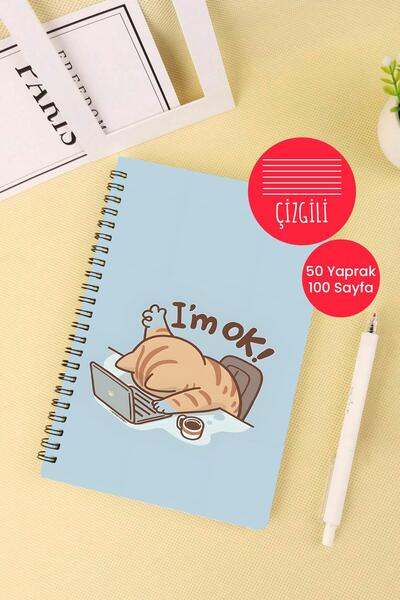 Anime Marketi دفتر مدرسي على شكل سهم على شكل قطة مقاس A5، 50 ورقة، 100 صفحة -...