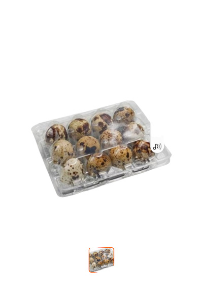 Cosar BILDIRCIN YUMURTA VİYOL 100 ADET 12Lİ ŞEFFAF VİYOL