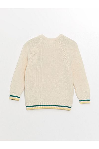 LC Waikiki Lw - Crew Neck Long Sleeve Baby Boy Knitwear Sweater