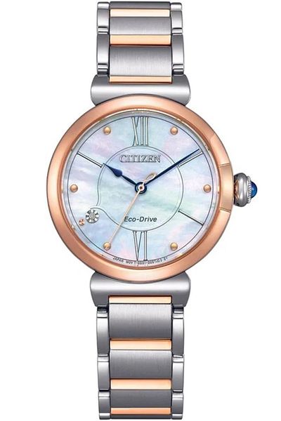 Citizen Em1074-82D Women Wrist Watch