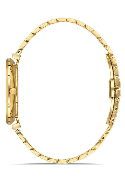 Hislon CL119G-08SG Men's Wristwatch