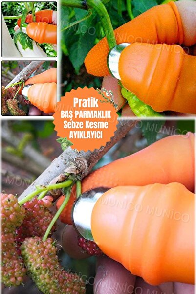 Gaggani Fındık Sebze Meyve Hasatlama Baş Parmak Kesici Makas Ele Zarar Vermed...