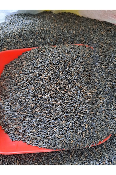 mhh Nijer Tohumu Kuşlar İçin Kızıştırıcı Yemi 1 KG