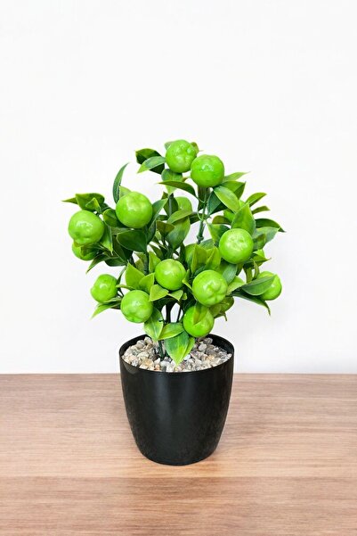 YAPAY ÇİÇEKÇİNİZ Artificial Green Apple Tree in a Pot with Stone Detail