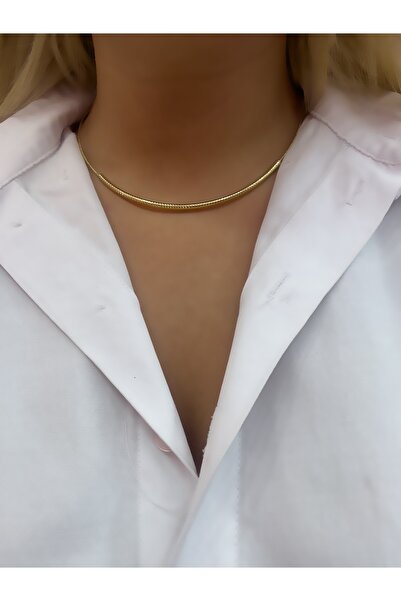 Hicrans Takı İnce Model Çellik Boyun Choker Kolyesi