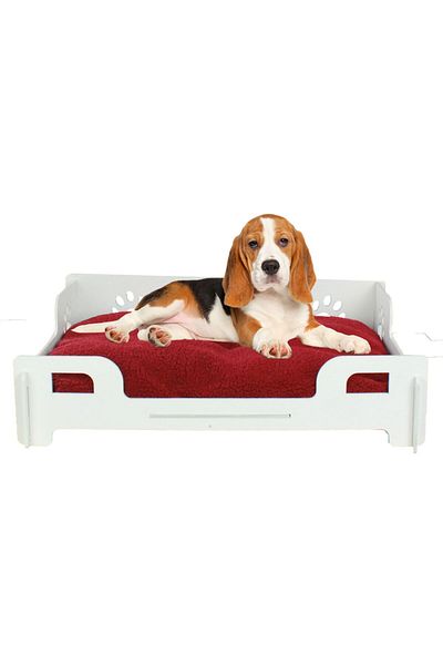 Evene Large Dog Bed Decorative Wooden Durable White Color Paw Model