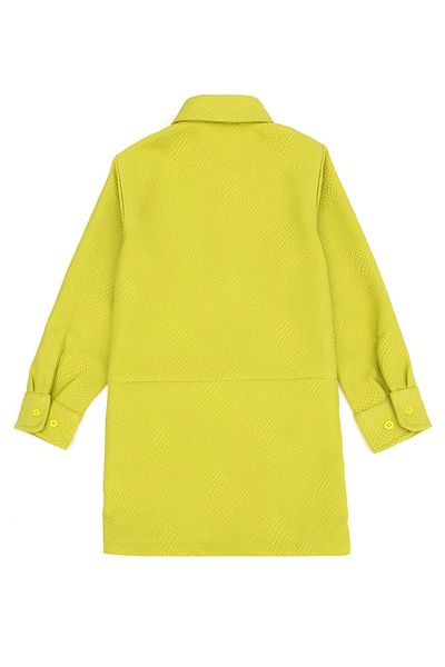 U.S. Polo Assn. Girl's Pistachio Green Woven Dress 50272711 -Vr087