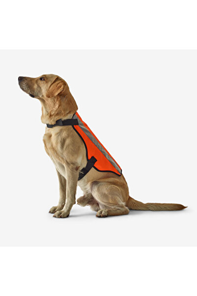 Decathlon Solognac Köpek Yeleği - Avcılık ve Doğa Gözlemi - Turuncu - 100