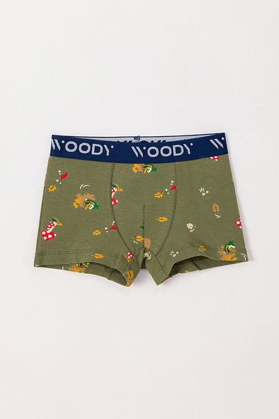 Woody 10-16 Years 2 Pack Boy's Boxer-Cld - 055-SET