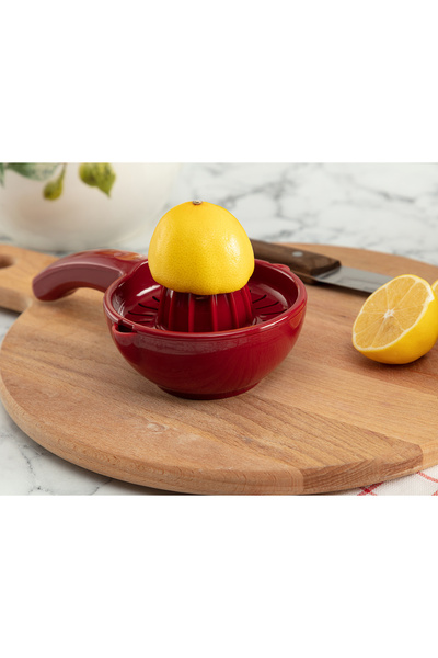 Madame Coco Citrus Juicer with Chane Handle