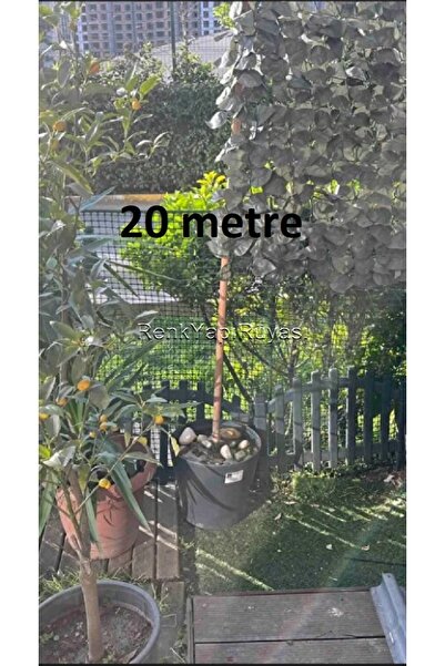 RENK YAPI RÜYASI Pvc Kaplı Puntalı Kümes Teli, Çit Teli 2,00MM 25*25 Göz, 25 ...