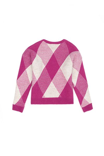 U.S. Polo Assn. Pulover violet pentru fete 50271890 -VR037