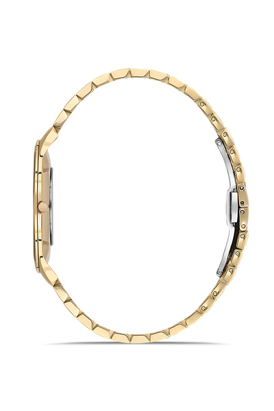 Hislon Cl135g-02sg Men's Wristwatch