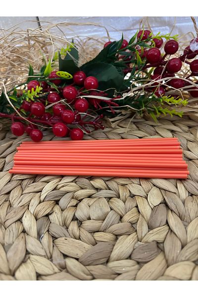 Deniz Party Store Orange Plastic Cake Pops Lollipop Stick 20 Pieces