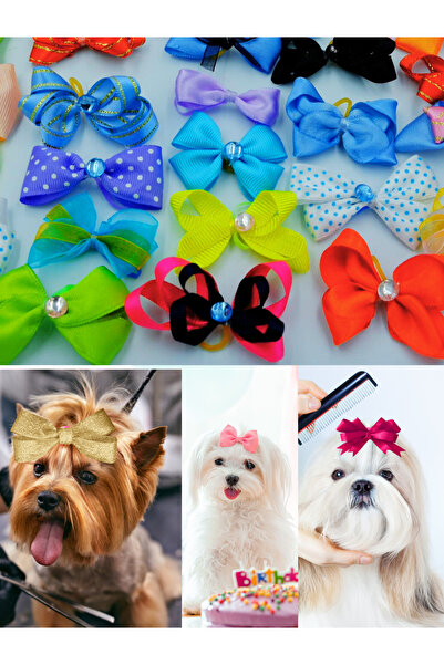 Hubjua Royal Köpek Toka Karışık 20 Adet Taşlı Lüx Aksesuar Lastikli Toka