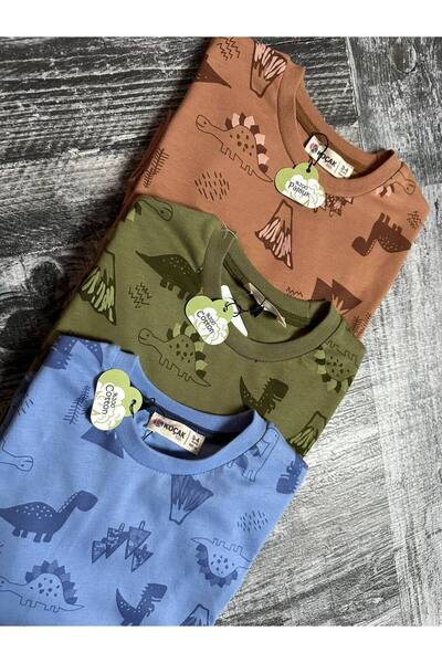CANDA Boy's Dinosaur Print Pajamas Set