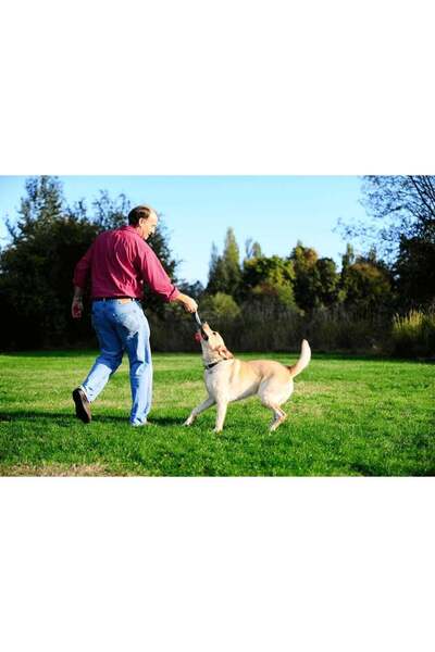 Chuckit ! Ultra Tug Köpek Çekiştirme Topu (ORTA BOY)