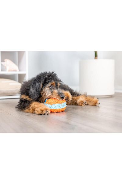 Chuckit !Indoor Roller Home Special Soft Play Ball
