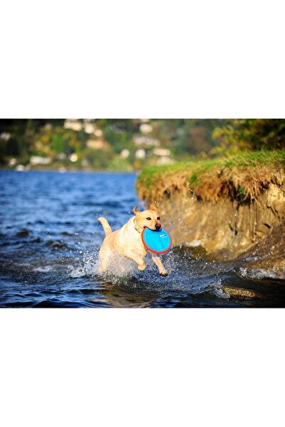 Genel Markalar ! Paraflight Frizbi (Küçük Boy)