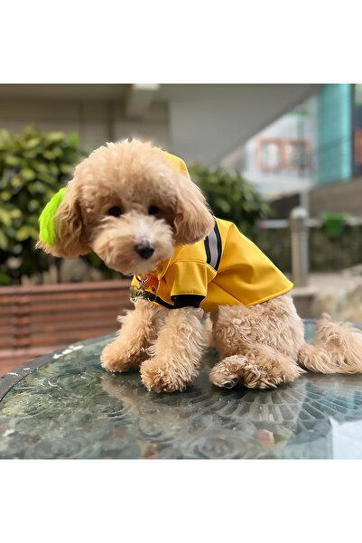 PETITE ملابس للكلاب من الصوف المقاوم للماء باللون الأصفر