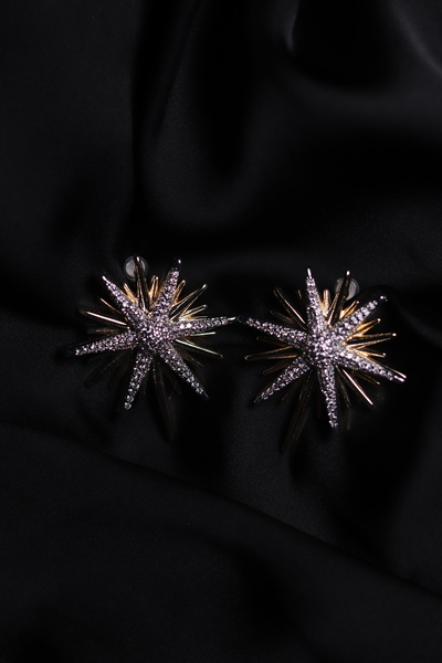 Pao Rosa أقراط بولار ستار مع حجر الزركون