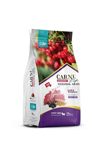 CARNİ LİFE Carni Dog Puppy Kuzu Etli/bögürtlenli Köpek Maması 2.5 Kg