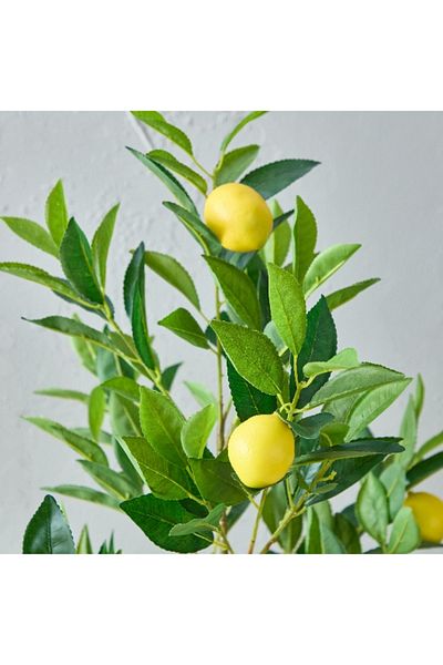 Home Box Alicia Lemon Tree with Pot 45x39x90 cm