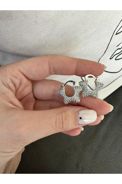 Jerie Star Detailed Zircon Stone Special Series Brass Plated Anti-tarnish Ear...
