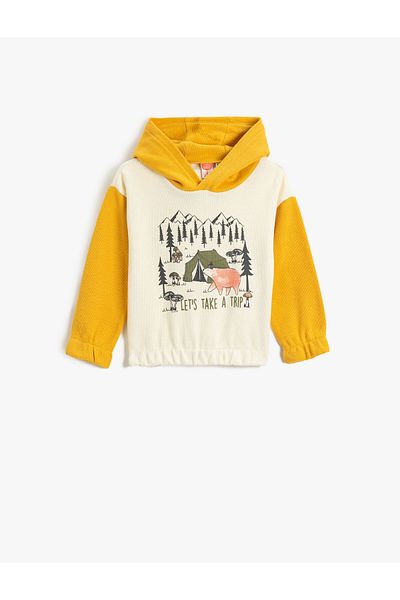 Koton Teddy Bear Printed - Hooded and Color Contrast Sweatshirt