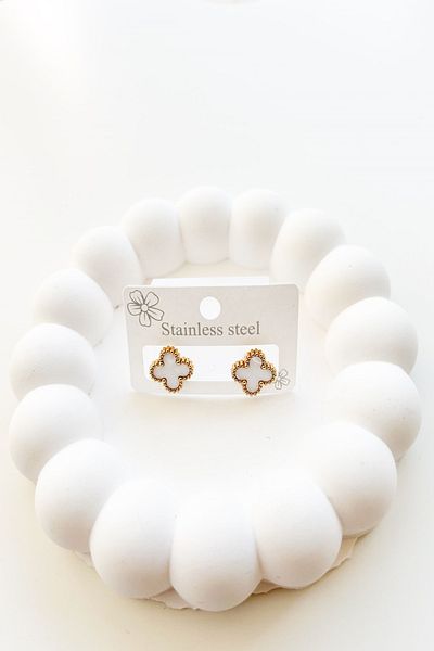 Pretty Steel Earrings