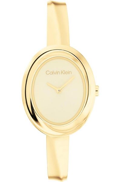 Calvin Klein Ck25100056 Women's Wristwatch