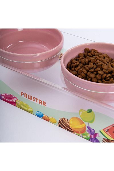 Pawstar Candy-Double Ceramic-Plexi Cat Dog Food Water Bowl