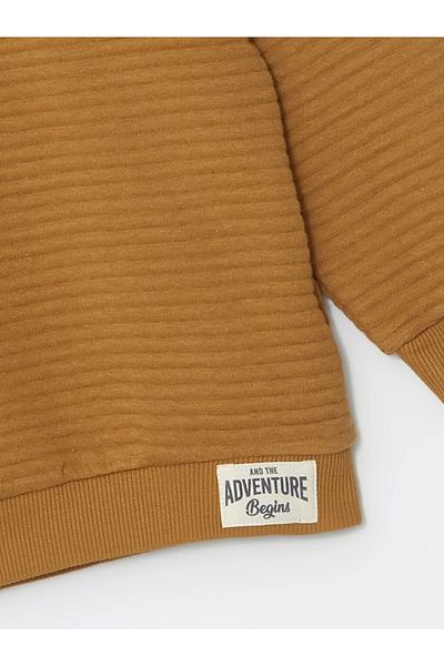 LC Waikiki Lcw Baby Light Brown Crew Neck Basic Baby Boy Sweatshirt