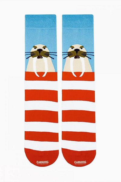 CARNAVAL SOCKS Комплект от 6 чорапи с шарки на морски и ледникови животни