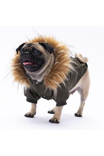 Pawstar Khaki Charles Dog Coat Dog Raincoat Dog Outfit Dog Dress