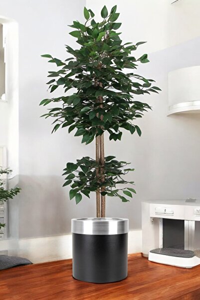 ERHAN FLOWERS ÇİÇEK & DEKORASYON Yapay Benjamin Ağacı Bambu Gövdeli Yeşil (ŞIK METAL SIYAH SAKSILI) 180 Cm