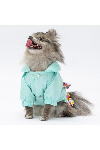 Pawstar Mint Victoria - Dog Raincoat Coat, Outfit and Gown