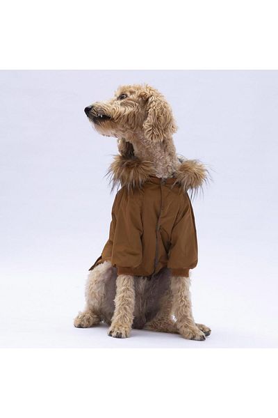 Pawstar Camel Charles Big Breed Dog Coat Dog Raincoat Dog Outfit Dog Dress