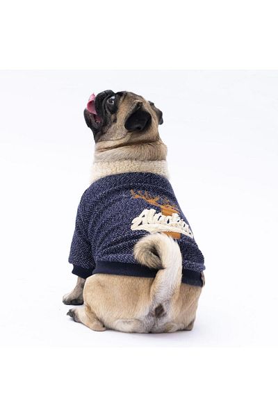 Pawstar Navy Blue Alaska Cat Dog Sweat - Cat Dog Outfit