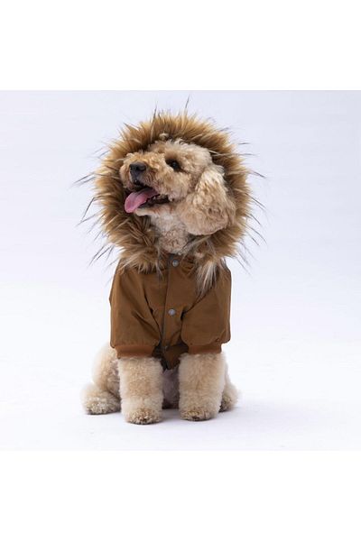 Pawstar Camel Charles Dog Coat Dog Raincoat Dog Outfit Dog Dress