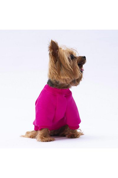 Pawstar Pink Carmel Cat Dog Sweat - Cat Dog Outfit