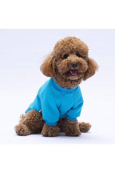 Pawstar Turquoise Carmel Cat Dog Sweat - Cat Dog Outfit