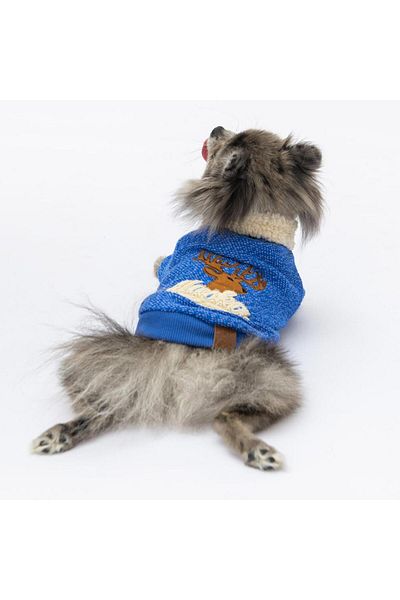 Pawstar Sax Blue Alaska Cat Dog Sweat - Cat Dog Outfit