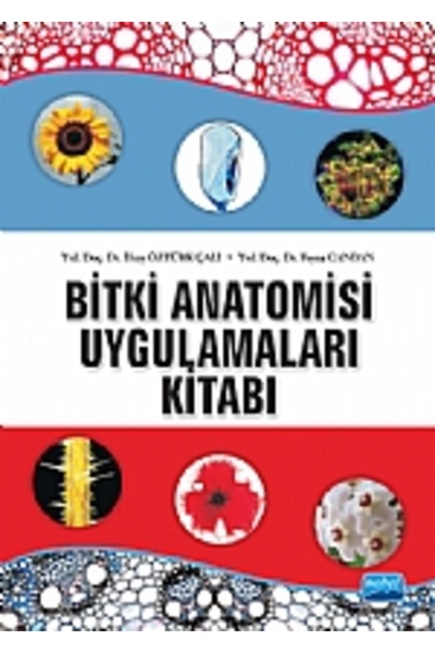 Nobel Akademik Yayıncılık Bitki Anatomisi ve Uygulamaları Kitabı